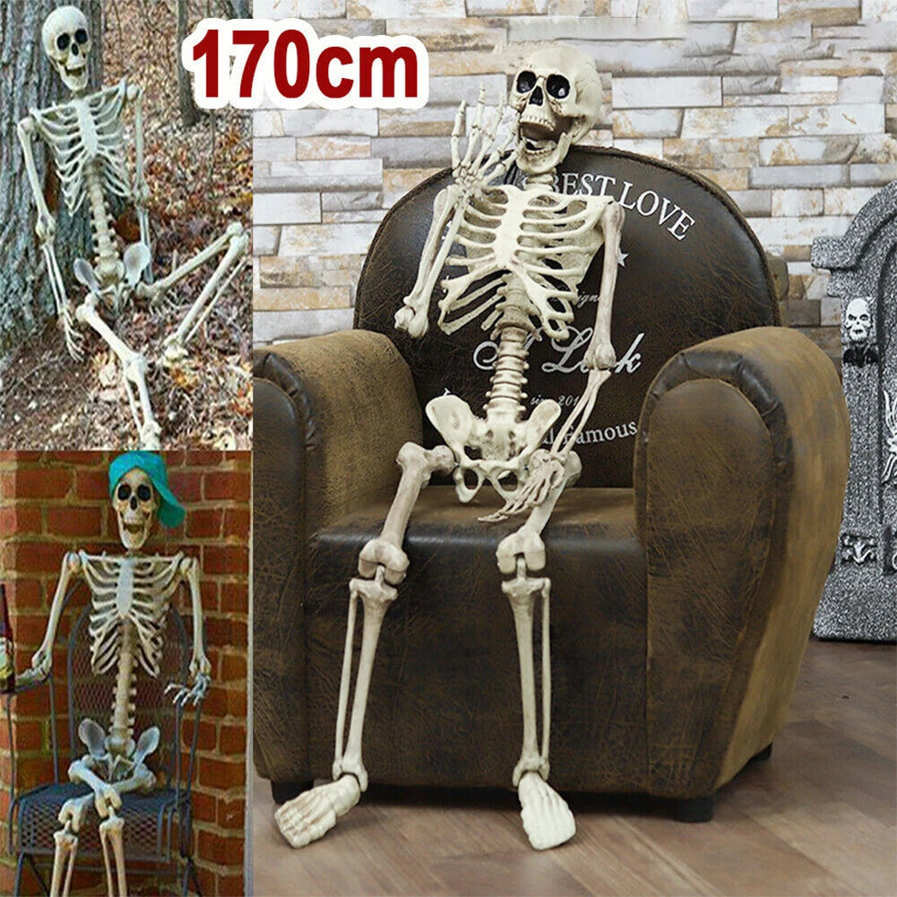 Posable Halloween Skeleton Figure