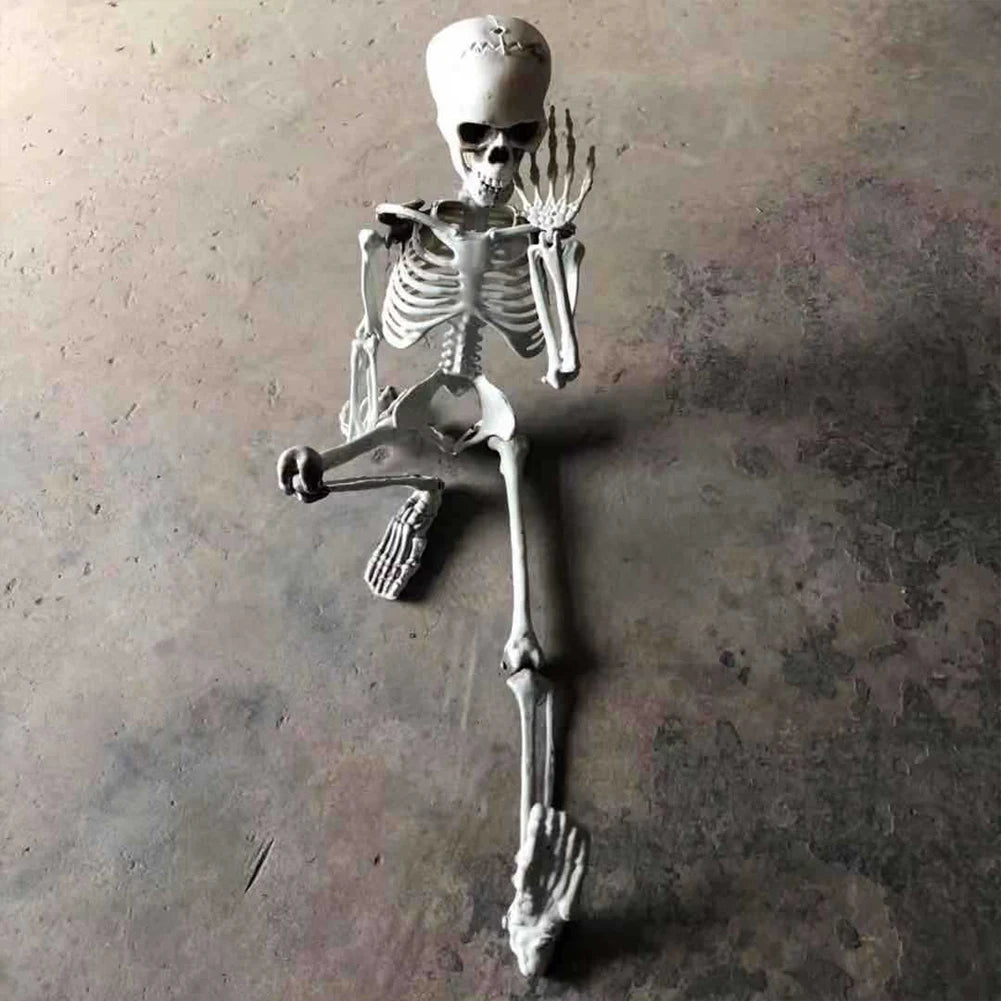 Posable Halloween Skeleton Figure