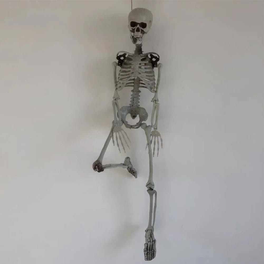 Posable Halloween Skeleton Figure