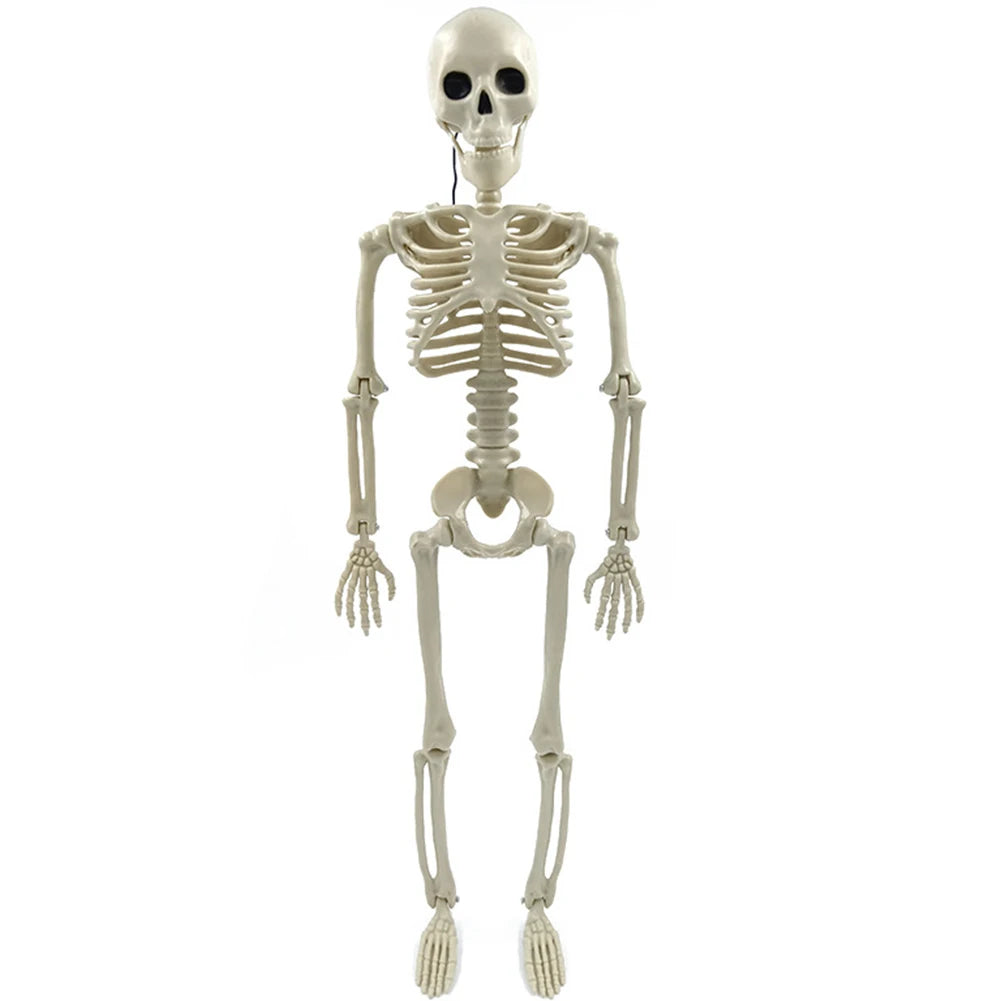 Posable Halloween Skeleton Figure