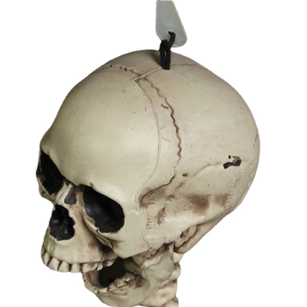 Posable Halloween Skeleton Figure