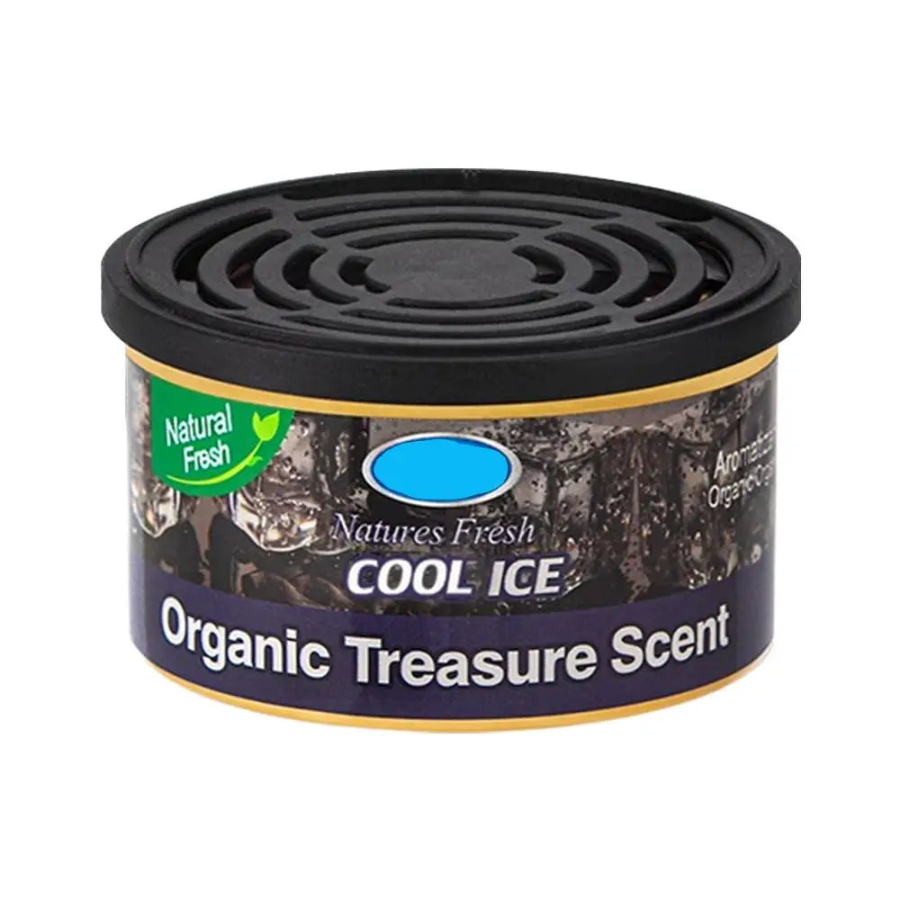 Car Air Freshener Can