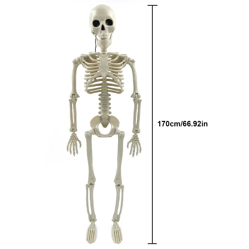 Posable Halloween Skeleton Figure